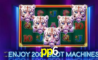 pp6